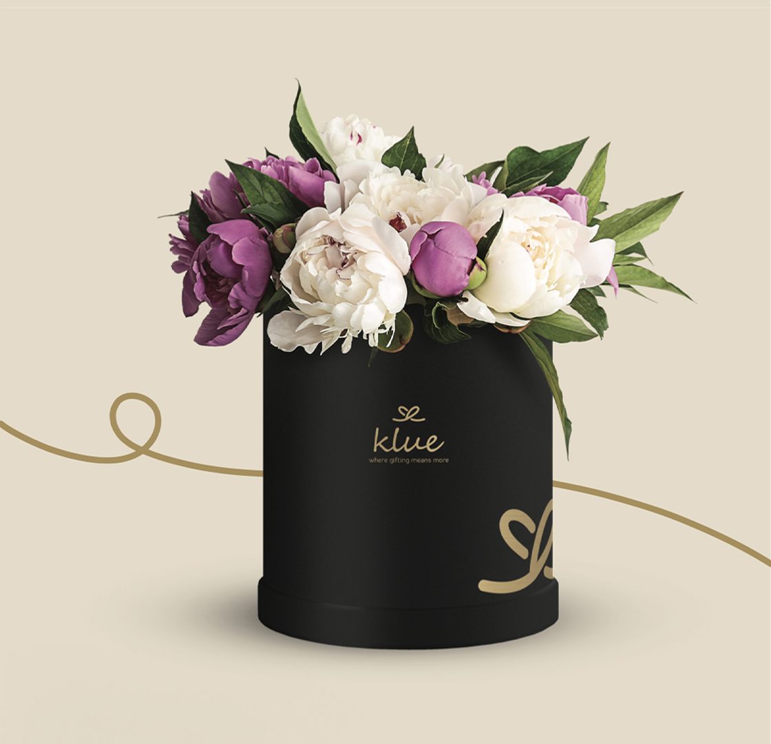 Klue | Branding